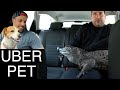 Uber Driver Reacts to Exotic Pets In the Uber