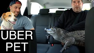 Uber Driver Reacts to Exotic Pets In the Uber