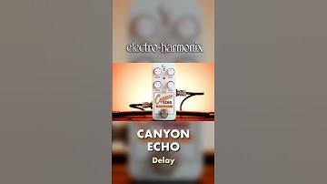 EHX Pico Canyon Echo Delay Pedal Demo