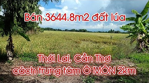 (Đã bán) Bán đất Thới Lai Cần Thơ | Nhà Đất CT MT
