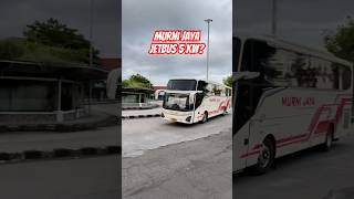 Murni jaya jetbus 5 ori atau kw? #busmania #murnijaya #huntingbus