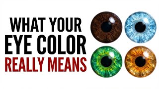The Hidden Science Your Eyes Have Been Keeping From You