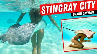 Exploring Stingray City In Grand Cayman: Above And Below The Water's Surface