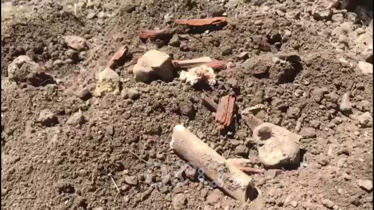 RTV Ora - Punimet për lulishten në Korçë nxjerrin në sipërfaqe eshtra