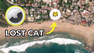 Can AirTag Recover my Lost Bengal Cat? by Albert & Mia, the Adventure Bengal Cat 19,712 views 9 months ago 8 minutes, 49 seconds