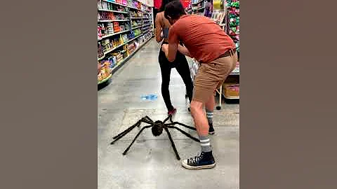 Giant spider prank gone wrong