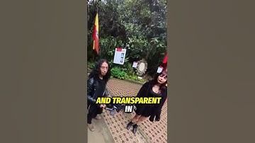 Embody personal virtues and foster authentic connections with others. Be genuine! #Relationships