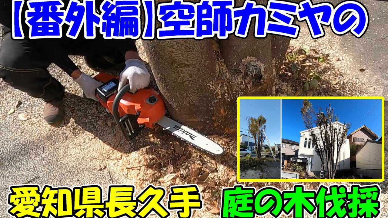 番外編】空師カミヤの愛知県長久手で庭の木（ケヤキ）伐採！レシプロ