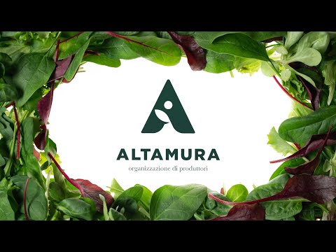 Altamura OP - Baby Leaf Growers Family