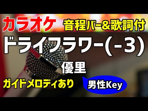 【カラオケ】ドライフラワー(-3) / 優里【男性キー】ガイドメロディあり