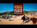 Encierro de Toros de Villar de Ciervo 2019