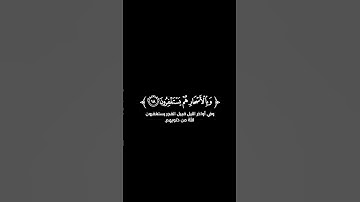 كروما شاشة سوداء قرآن كريم 🌿تلاوة من سورة الذاريات  🌿القارئ مشاري فالح 🌿