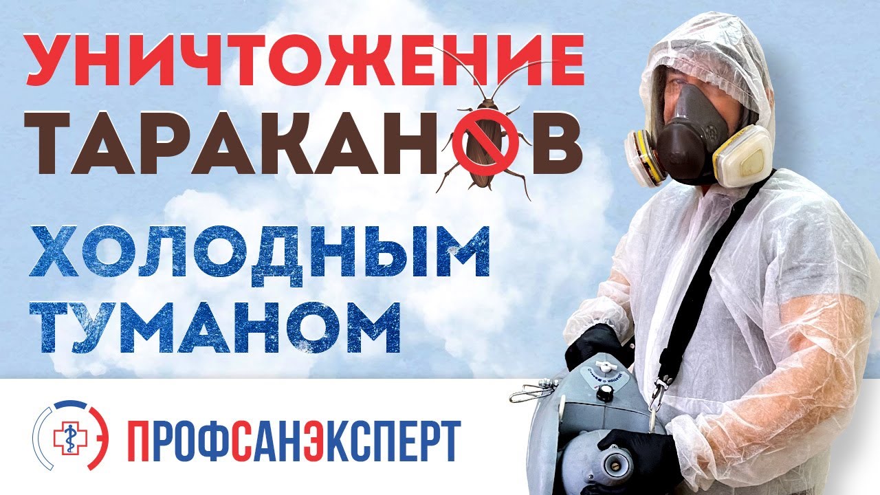 Уничтожение тараканов холодным туманом на кухне цеха и в общежитии ...