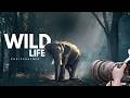 Wildlife Photography Career Guide | Day in the Life + Salary + Skills