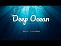 🐋 Underwater ASMR | Deep Sea Sleep | Meditation BGM [8hr ver.]