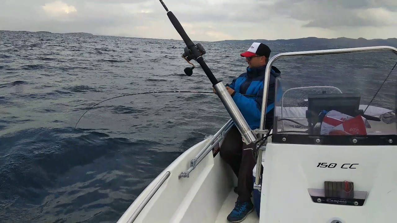 Ψάρεμα με tai rubber... Τσαούσι(dentex filosus)