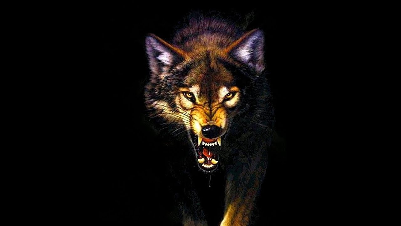 Owl City - Wolf Bite (...