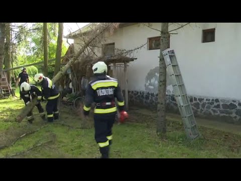 Videó: Megérkezett az ajtófélfák felmosásának eredménye?