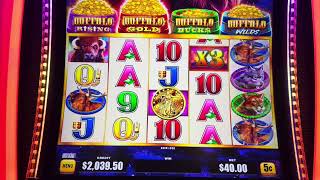Finally! Over 100X Jackpot MAX BETTING BUFFALO QUAD POWER