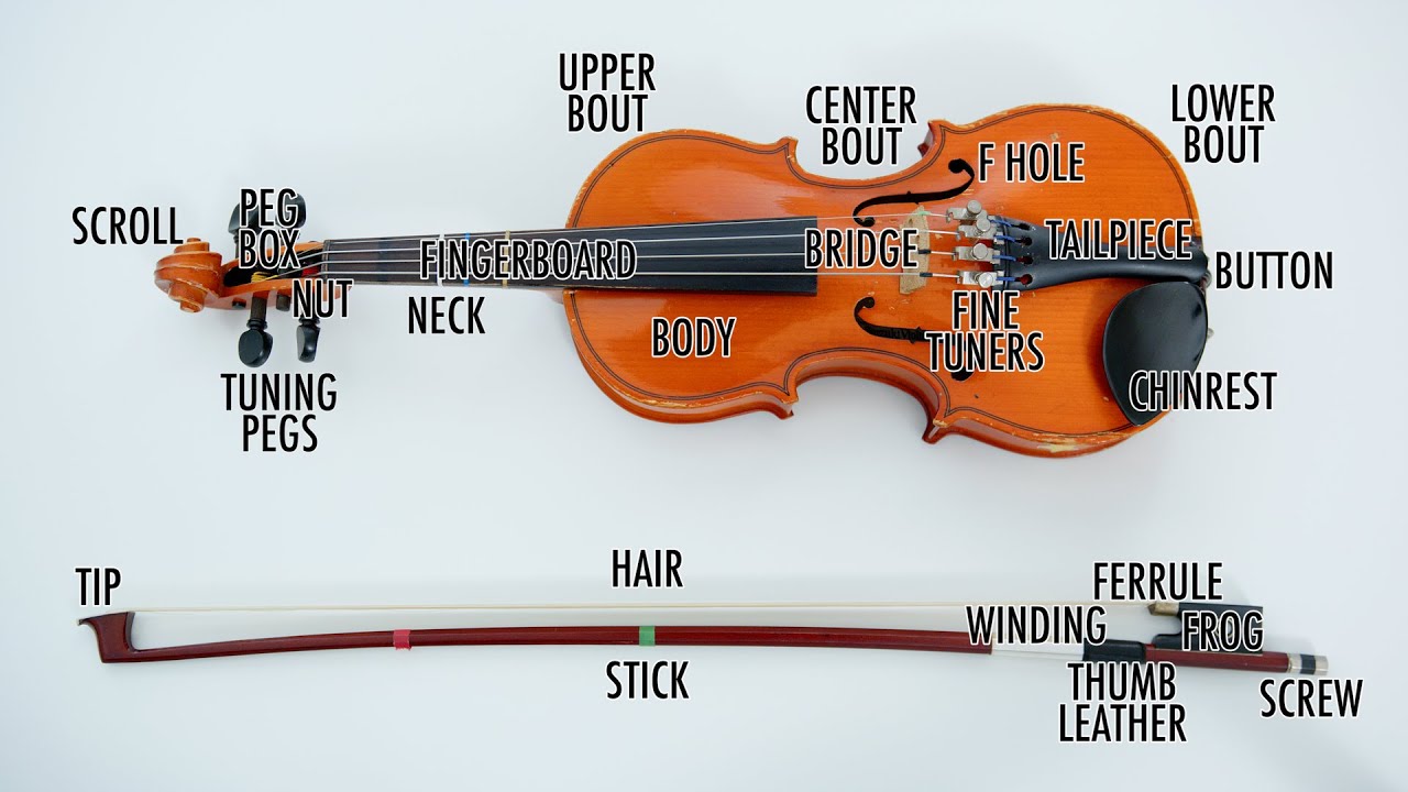 overlap Tanke kandidatgrad Learn the parts of the Violin and Bow - YouTube