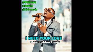 Pallaso - I Need Your Love (Instrumental) (Moombahton Chill Remix) (SNMiX) BPM 97