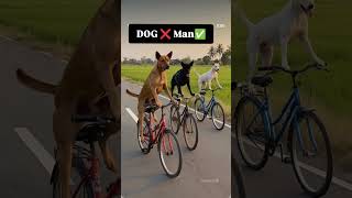 DOG ❌ Man ✅ 😱🤣🤣!! #ytshorts #funny #Fanny #Fani #Viral #TRADING #dog #Man