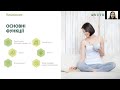 Знайомство з Balance Within™ Пробіотик від Nutrilite™ та як рекомендувати дієтичну добавку клієнтам