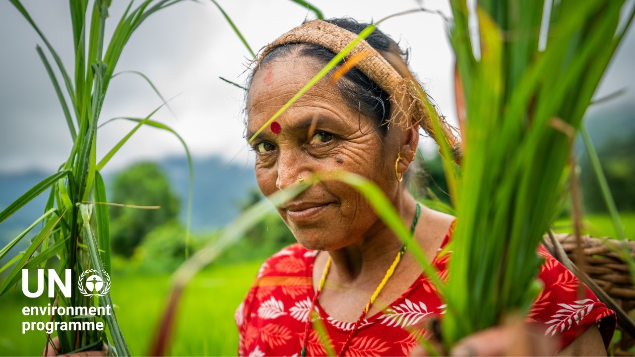 How communities around the world are adapting to climate change using technology