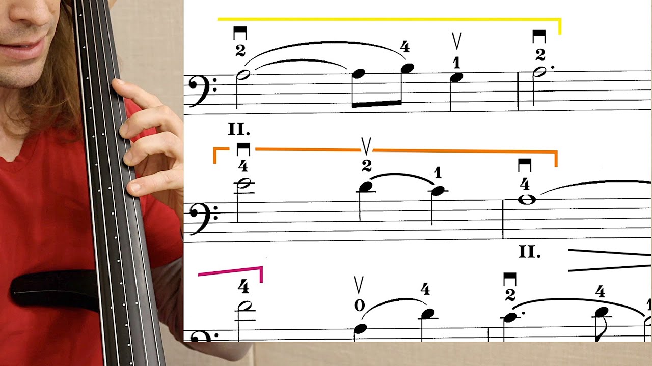 Как играть «BLOOD RITUAL MOONLIGHT SERENADE» из «Пиратов Карибского моря» на виолончели