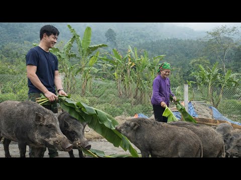 A sick elderly woman chooses to spend the rest of her life with a Young chef