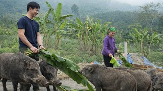 Download Lagu CEO Trieu Khang's compassionate and generous heart moved an elderly woman living alone to tears. MP3