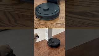 Looking for an AFFORDABLE Robovac?? Try the iRobot 105...