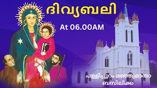 Holy Mass Live @6AM Monday 20/5/24 From Basilica Of Our Lady Of Snow,Palliport