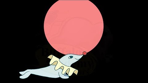 Lesson 14: Understanding Z-Table 