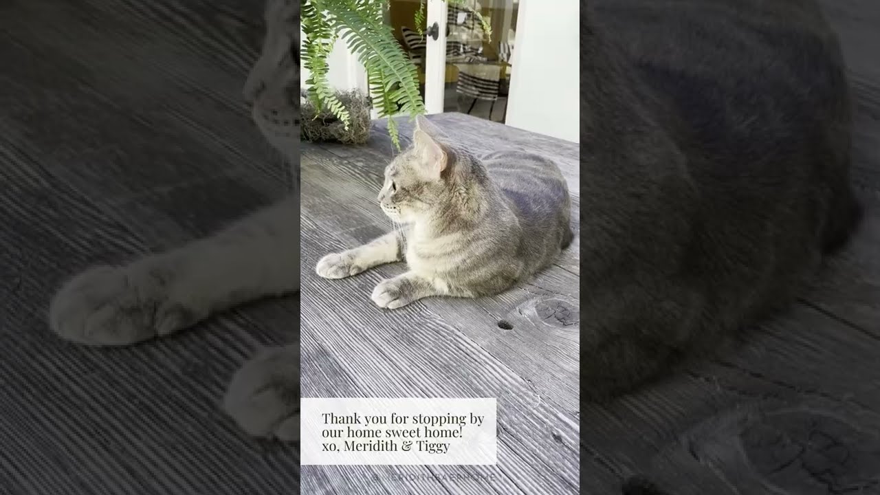 RUE Magazine - At Home with Meridith Baer