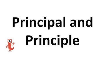 Principal or Principle?
