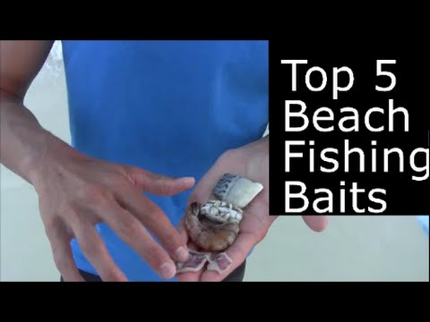 Video Best fishing bait for catfish