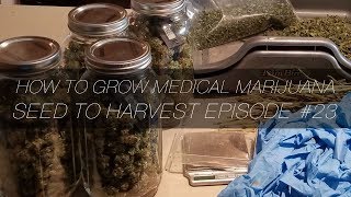 Hydroponics Week 2 and Harvest Weigh In - Grow Journal E23