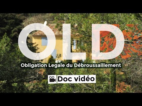 Obligation Légale de Débroussaillement (OLD) : Tout savoir !