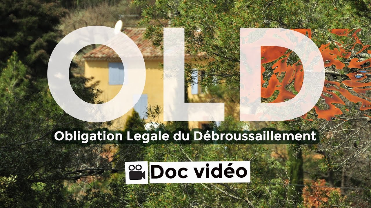 Obligation Légale de Débroussaillement (OLD) : Tout savoir !