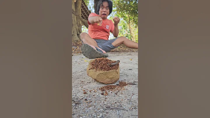 Eating Yupi candy, I ran because there were millipedes #shorts #shortvideo #viral