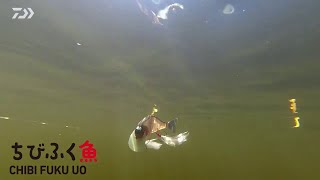 ちびふく魚｜佐々木勝也テスターが解説