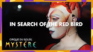 In Search of the Red Bird | Episode 4 | The Red Bird Takes Flight | Cirque du Soleil