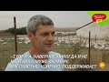Экскурсия по гусиной ферме Николая Шевцова