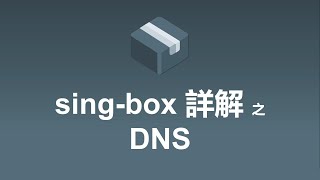 sing-box详解之DNS | 詳細講解sing-box配置文件和運行模式