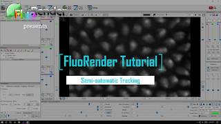 FluoRender Tutorial: Semi-automatic Tracking Wealth