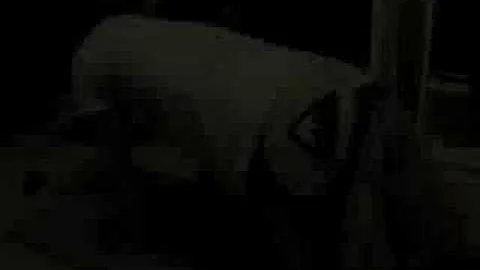 Jason Millican does Yoga at home