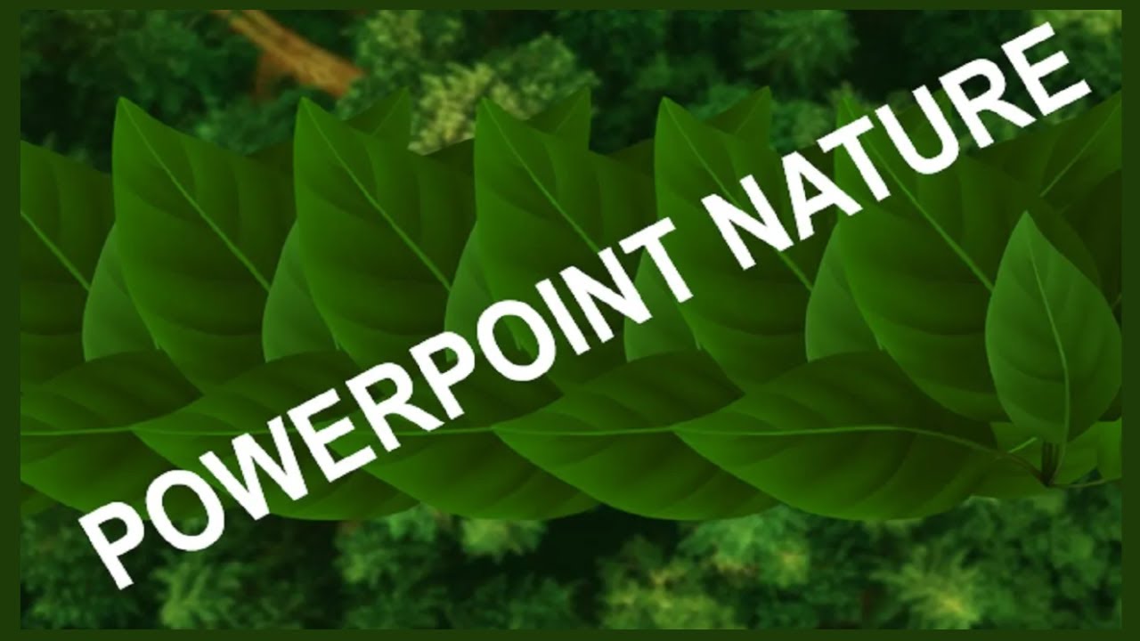 Урок по созданию морфологических переходов в PowerPoint | Создайте потрясающую анимацию природы д...