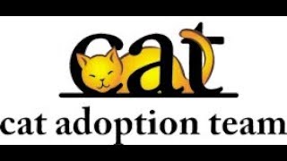 Anne and Kerry Smith Unsung Heroes from Cat Adoption Team