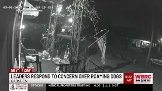 Leaders respond to concern over roaming dogs in Gadsden